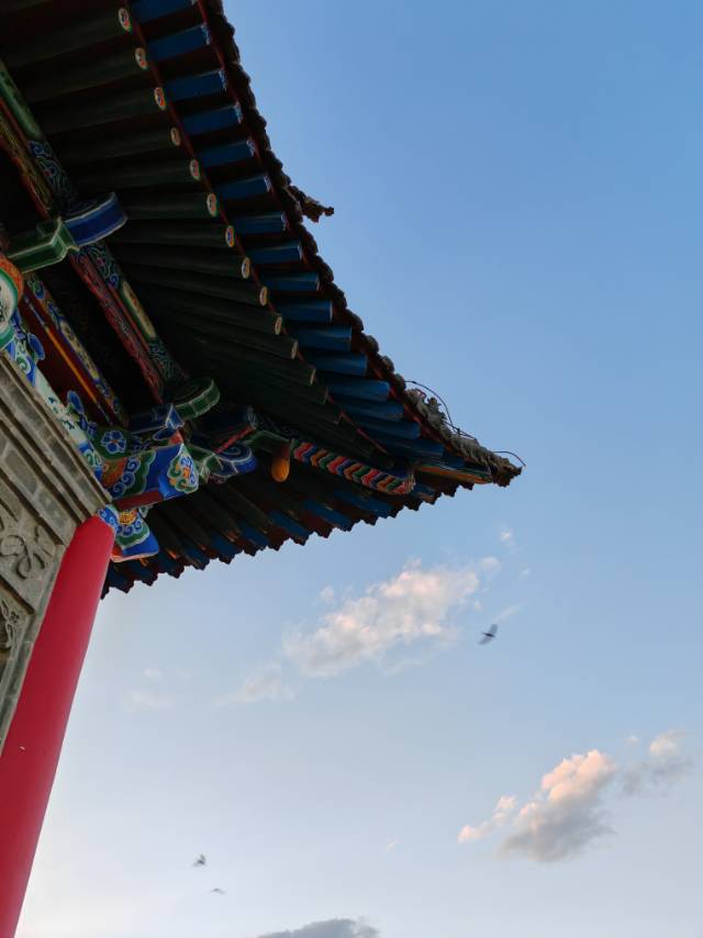 月河春蕾